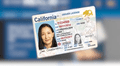 Real ID 2025 en Estados Unidos: ¿autoridades aceptarán las copias certificadas de tu documento al detenerte?