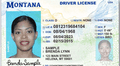 Real ID en Montana 2025: consigue tu identificación federal sin demorarte tanto en Estados Unidos