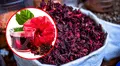 ¿Para qué sirve la flor de Jamaica? Descubre sus sorprendentes beneficios y cómo consumirla correctamente