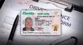 Florida: los pasos para verificar si tu licencia de conducir está suspendida en 2025