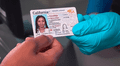 Real ID en California: revisa cómo obtener la identificación federal y decirle adiós a la licencia de conducir en 2025