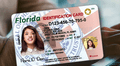 Real ID en Florida 2025: estos documentos serán indispensables para solicitar tu identificación federal en EE. UU.
