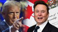 ¿Elon Musk perderá su ciudadanía canadiense? Diputado pidió revocarle la nacionalidad por actuar contra intereses de Canadá