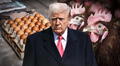Trump anuncia plan de US$1,500 millones para frenar precio de huevos en EE. UU. en medio de crisis por gripe aviar