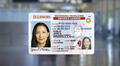 Real ID en Illinois: las oficinas del DMV que abrirán todos los sábados para tramitar la identificación hasta mayo