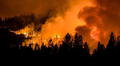 Qué medidas debo tomar si fui afectado por los incendios forestales de 'las Carolinas' de Estados Unidos