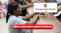 Renta Ciudadana 2025 Prosperidad Social: consulta con cédula mediante link si tienes cobros pendientes