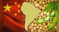 Los 2 países de Sudamérica que ganan con la contraofensiva arancelaria de China a Estados Unidos en el mercado de soja