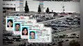 Licencia de conducir en Minnesota para inmigrantes: costo y requisitos para tramitar el documento a través del DMV
