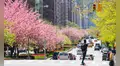 Se acabó el invierno en Nueva York: ¿cuándo empieza el primer día de primavera este 2025?