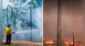 Incendio forestal en Miami-Dade: bomberos contienen fuego al 50% y alertan que humo se seguirá expandiendo por varios días