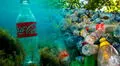 Estudio científico advierte que para el 2030 habrá 600.000 toneladas de plástico de Coca-Cola en los océanos