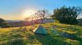 Este es el parque estatal más grande del norte de California: un refugio de flores silvestres y senderos perfectos para la primavera