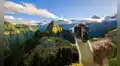 Turistas ingresarán gratis a Machu Picchu cumpliendo con este único requisito: norma aplicará en 2026, según El Peruano