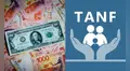 ¿Qué necesitas para acceder al TANF? Estos son los requisitos para recibir ayuda por 36 meses en EEUU
