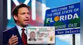 La ley firmada por Ron DeSantis que todo conductor con licencia en Florida debe conocer para evitar sanciones