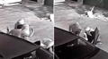 Asalto a mano armada en Cercado de Lima: encañonan a conductor y le roban su vehículo