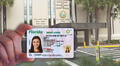Licencia de conducir en Florida: tramita tu identificación en estas oficinas del FLHSMV