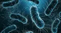 Asombroso avance científico: inteligencia artificial resuelve en dos días un misterio sobre superbacterias que tomó 10 años