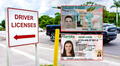 Licencia de conducir en Florida y Real ID dejarán de ser válidas para este grupo de personas en 2025 por esta razón