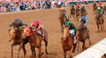 ¿Qué canal pasa el Kentucky Derby 2025 EN VIVO en Estados Unidos y Venezuela? Horario y pronósticos de la carrera