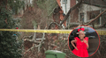 Niña muere tras ser aplastada por árbol dentro de su casa en Atlanta: madre y abuela resultaron heridas