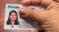 Florida: DMV anuncia contundente cambio para licencias de conducir de inmigrantes en 2025