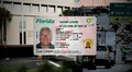 Aviso importante para inmigrantes en EEUU: las identificaciones que reemplazarán a la Real ID en Florida y servirán para viajar