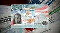 Muy buenas noticias para inmigrantes en EEUU: USCIS confirma que estos ciudadanos pueden obtener la Green Card en menos de 8 meses