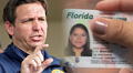 Ron DeSantis aplica Ley SB 1600 en Florida: trabajadores interestatales podrán acceder a una licencia especial con estos requisitos