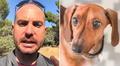 Adiestrador revela por qué saludar a tu perro al llegar a casa podría ser perjudicial: “Que no te extrañe un infarto”