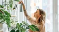 ¿Qué revela la psicología sobre tener muchas plantas en casa? Impacto en tu bienestar emocional