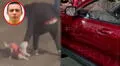 Vecinos atacan auto del padre de hombre que mató a perrita en Trujillo y exigen justicia por la muerte de la mascota