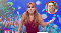 Magaly Medina exige investigación a Edwin Sierra tras las revelaciones de Greissy Ortega: “Esto es un delito de seducción"