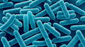 ¡Pésimas noticias para California y Nevada! Peligrosa bacteria fue encontrada en productos de empresa de alimentos