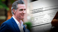 California: nueva ley firmada por Gavin Newsom elimina la licencia de conducir como requisito laboral