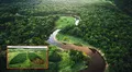 La selva amazónica no sería el "pulmón del mundo": un geógrafo devela su rol real en la producción de oxígeno