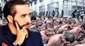La polémica llegada de Bukele a la presidencia: ¿Las pandillas construyeron su poder político?