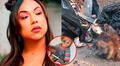 Dayanita impacta al filtrar sorpresiva imagen del altar que construyó con un cráneo humano, muñeco de Chucky y más 'ofrendas'