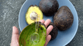 ¿Qué tiene la cáscara de palta y por qué se dice que es un tesoro? Estas son las razones