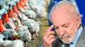 Brasil suspende venta de pollo en un país de Sudamérica, China y la Unión Europea por caso de gripe aviar