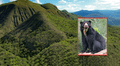 Crean nueva área de conservación en Cajamarca: es hábitat de especies amenazadas, como osos de anteojos, pumas y tigrillos