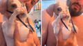 Llevan a nebulizar a perrito con enfermedad respiratoria y él mismo sostiene la mascarilla: "Ah, qué buena está"