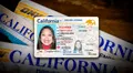 Licencia de conducir en California para inmigrantes: el DMV la otorga si cumples estos requisitos en 2025