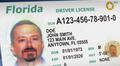 Miami-Dade: FLHSMV establece que este grupo de conductores deberá renovar su licencia de conducir cada año