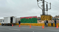 Colocan gigantografía de flores para simular áreas verdes en alrededores del nuevo Aeropuerto Jorge Chávez