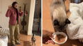 Peruana revela cuánto gana por cuidar gatos a domicilio en Lima y sorprende con la cifra: “Es por hora”