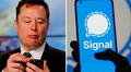 ¿Qué es Signal, la app de mensajería que recomienda Elon Musk? Es considerada más segura que WhatsApp