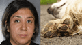 Madre en Texas es arrestada por crueldad extrema: encerraba a sus hijos para quemar vivos a los perros de la familia