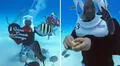 Hombre pidió matrimonio bajo el mar y romántico gesto es viral: “Cuando hay amor, hay imaginación infinita"